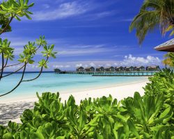 Centara Ras Fushi Resort & Spa Maldives