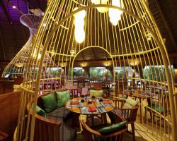 Centara Ras Fushi Resort & Spa Maldives