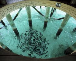 Centara Ras Fushi Resort & Spa Maldives
