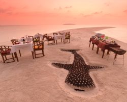 Beach-Dining-01