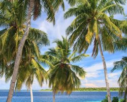 Dhonfulhafi Beach View and Spa Maldives