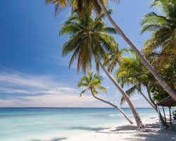 Dhonfulhafi Beach View and Spa Maldives