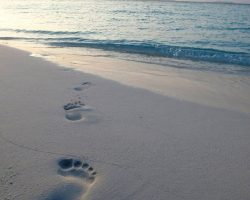 The Barefoot Eco Hotel Maldives