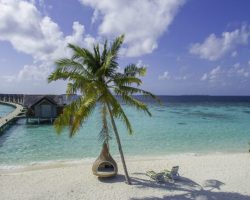 Furaveri Maldives - General