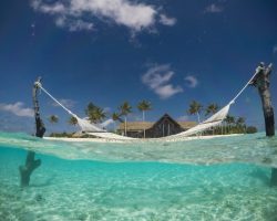 Furaveri Maldives - General