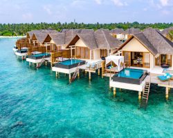 Furaveri Maldives - Ocean Pool Villa
