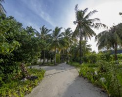 Furaveri Maldives - General