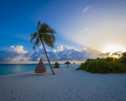 Furaveri Maldives - General