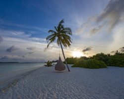 Furaveri Maldives - General