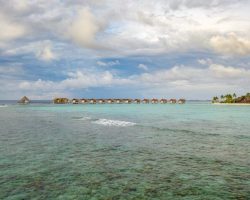 Furaveri Maldives - General