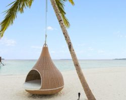 Furaveri Maldives - General