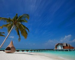 Furaveri Maldives - General