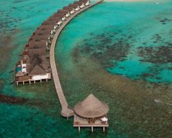 Furaveri Maldives - General