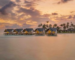 OSE-photo_14-3-scaled