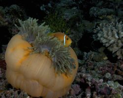 OSE-photo_16-2-scaled