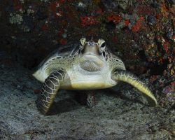 OSE-photo_18-2-scaled