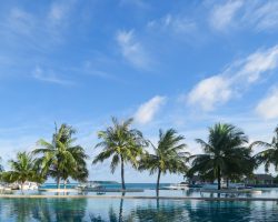 HIRKM-Main-Pool-2