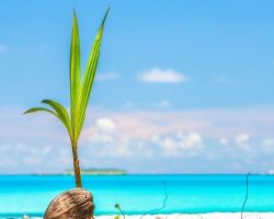 DHIGUVELI-20190323-DSC_1448-qks3yrdbknkxm3bbw1do482om6nnpo4qi0x3vab3hs