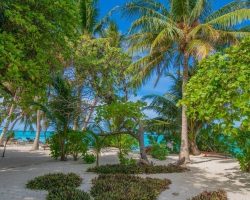 Thoddoo-Island-Maldives-Ari-Atoll-1-qj2qztcdfwnxbstv1b2v5290jv4qy6jurzol1xrs6o