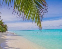 Thoddoo-Island-Maldives-Ari-Atoll-5-qj2r06i43l5xucaqwgrn3yxgv9bvxy03hstdrt89rk