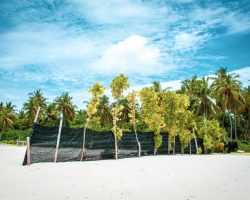 Manta Seaview Guest House