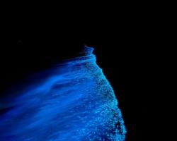 MY-HOME-MALDIVES-Vashafaru-1-6