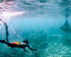 MY-HOME-MALDIVES-Vashafaru-9