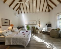Nika Island Resort and Spa - garden villa