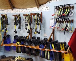 Nika Island Resort and Spa - diving center
