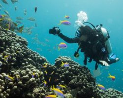 Nika Island Resort and Spa - diving center