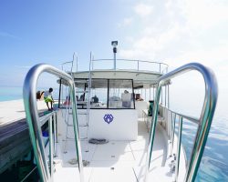 Excursion-Boat-3