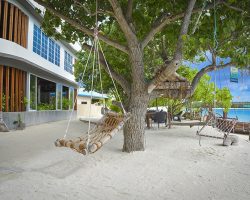 Rashu-Hiyaa-Dhiffushi-800x600-16