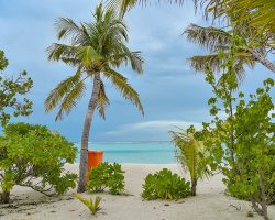 Rashu-Hiyaa-Dhiffushi-800x600-23