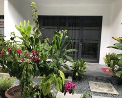 WhatsApp-Image-2021-01-01-at-08.59.10-2