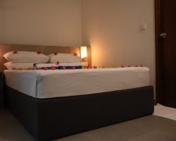 Shams DELUXE ROOM WITH GREEN VIEW thoddoo