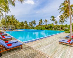 Siyam World - Restaurants & Bars