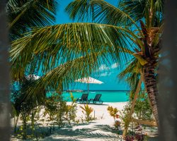 Palm-Villa-16