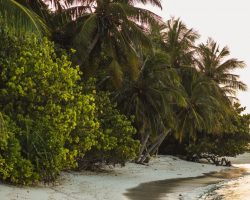 Veli Beach Inn - beach