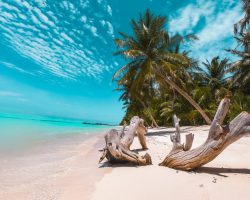 Veli Beach Inn - beach