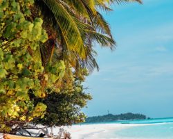 Veli Beach Inn - beach