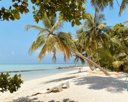 Veli Beach Inn - beach