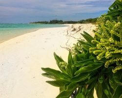 Veli Beach Inn - beach
