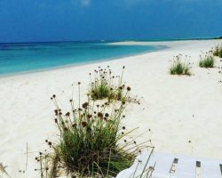 Veli Beach Inn - finolhu