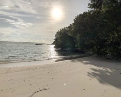 Veli Beach Inn - beach