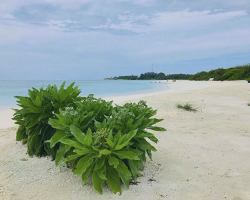 Veli Beach Inn - beach