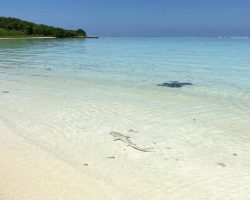 Veli Beach Inn - beach