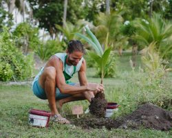 Villa-Park-Green-Fingers-Planting-scaled