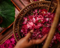 Villa-Park-Lifestyle-Spa-Flower-Bath-scaled